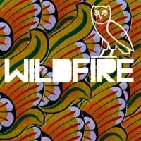 SBTRKT - Wildfire