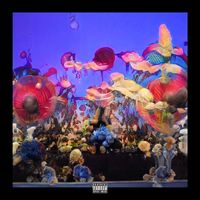 Wonder XO - I DONT KNOW!