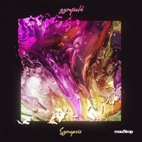 gyrofield - Synopsis