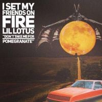 I Set My Friends On Fire - Don't Take Me For Pomegranate