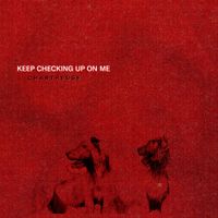 Chartreuse - Keep Checking Up On Me