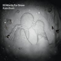 Kate Bush - 50 Words for Snow