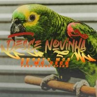 Recayd Mob - Desce Novinha