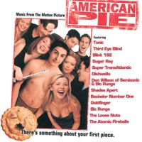 Various Artists - American Pie (Music From The Motion Picture)