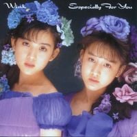 Wink - Especially for You