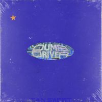 IAN SWEET - Dumb Driver