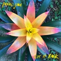 Pearl Jam - Get It Back