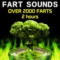 Fart Fest - Fart Sounds - Over 2000 Farts (2 Hours)