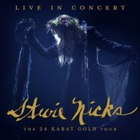 Stevie Nicks - Live in Concert: The 24 Karat Gold Tour