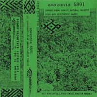 Pit Piccinelli / Fred Gales / Walter Maioli - Amazonia 6891: Sounds From Jungle, Natural Objects, Echo and Electronic Waves