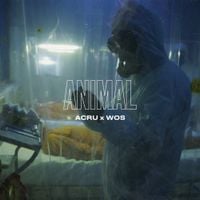 Acru - Animal