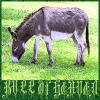 Bull of Heaven - 186: A Donkey's Head Sold for Eighty Shekels of Silver