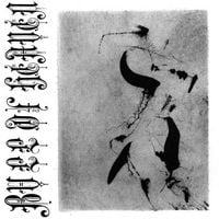 Bull of Heaven - XIII