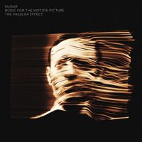 Hugar - The Vasulka Effect