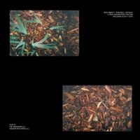 Shlohmo - Bad Vibes: Rarities + Extras