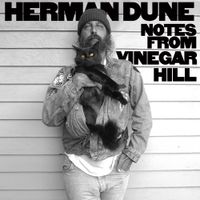 Herman Dune - Notes from Vinegar Hill