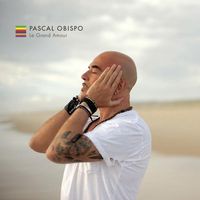 Pascal Obispo - Le grand amour