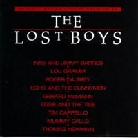 Various Artists - The Lost Boys Original Motion Picture Soundtrack