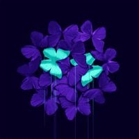Lightworker - Fury By Failure