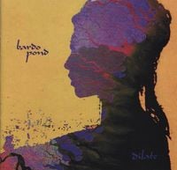 Bardo Pond - Dilate