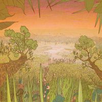 Pine Barons - Mirage on the Meadow