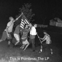 This Is Pointless - This Is Pointless: The LP