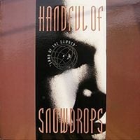 Handful Of Snowdrops - Land Of The Dammed