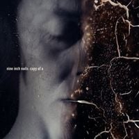 Nine Inch Nails - Copy of a