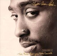 2Pac - The Rose That Grew from Concrete [Poetry]