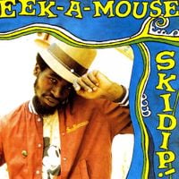 Eek-A-Mouse - Skidip!