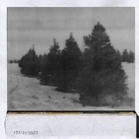 vernon - echoes from_stockholm