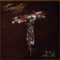 Trinity (AG, Sadat X, DJ Jab) - 20 In