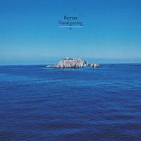 Ferns - Navalgazing
