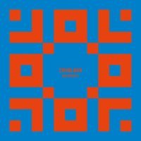 Zavoloka - Ornament