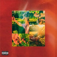 Felly - Wild Strawberries