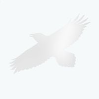 Sigur R&oacute;s, Hilmar &Ouml;rn Hilmarsson, Steind&oacute;r Andersen & Maria Huld Markan Sigf&uacute;sd&oacute;ttir - Dvergm&aacute;l