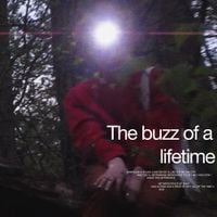 Knapsack - The buzz of a lifetime