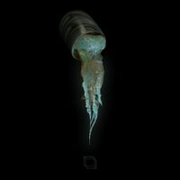 MM - MM EP