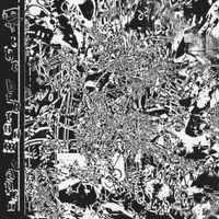 bdrmm - The Bedroom Tapes (Live)