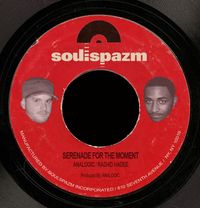 Analogic & Rashid Hadee - Serenade for the Moment