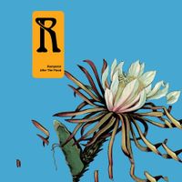 Rumpistol - After the Flood