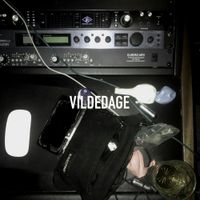 Artigeardit - VILDEDAGE
