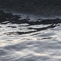 Joachim Spieth - Affiliation