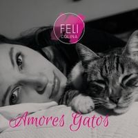 Feli Colina - Amores Gatos