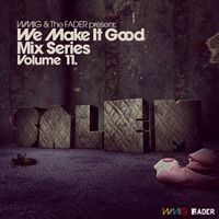 SALEM - We Make It Good Mix Series Volume 11