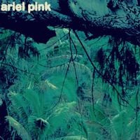Ariel Pink - Odditties Sodomies, Vol. 3