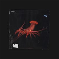 schafter - marvin