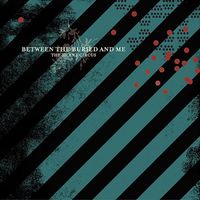 Between the Buried and Me - The Silent Circus