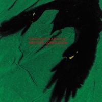 細野晴臣 [Haruomi Hosono] - Medicine Compilation from the Quiet Lodge