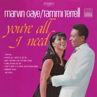 Marvin Gaye & Tammi Terrell - You're All I Need
